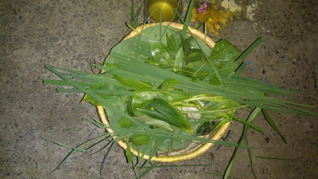 jitaastomi